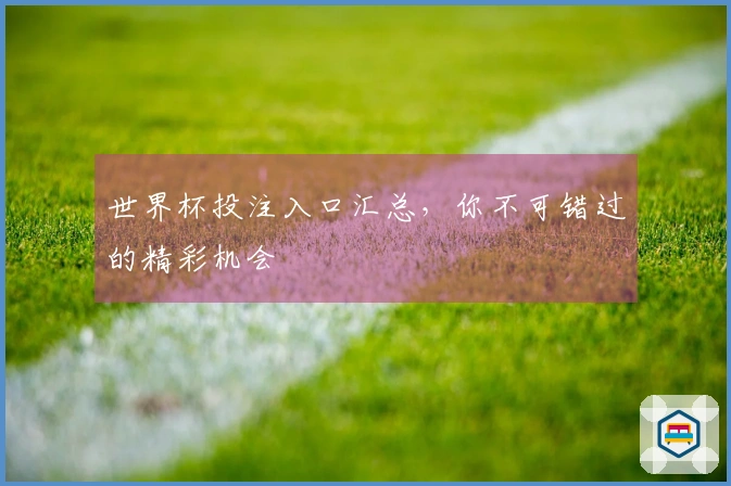 世界杯投注入口汇总，你不可错过的精彩机会
