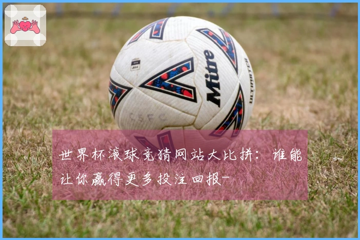 世界杯滚球竞猜网站大比拼：谁能让你赢得更多投注回报-