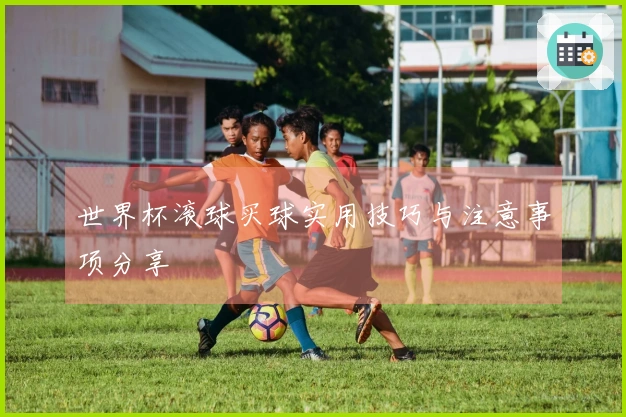 世界杯滚球买球实用技巧与注意事项分享