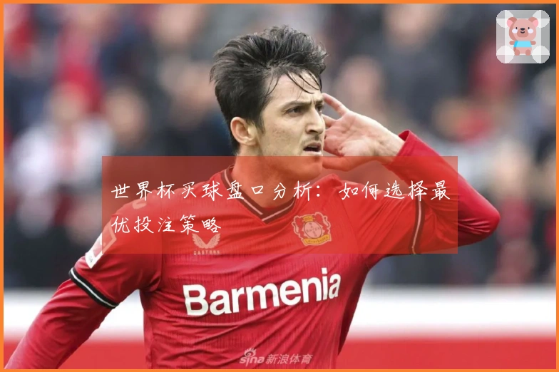 世界杯买球盘口分析：如何选择最优投注策略