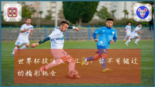 世界杯投注入口汇总，你不可错过的精彩机会