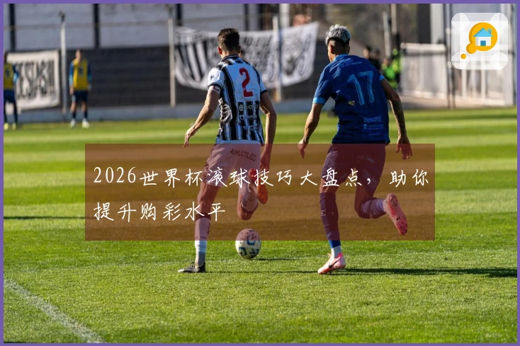 2026世界杯滚球技巧大盘点，助你提升购彩水平