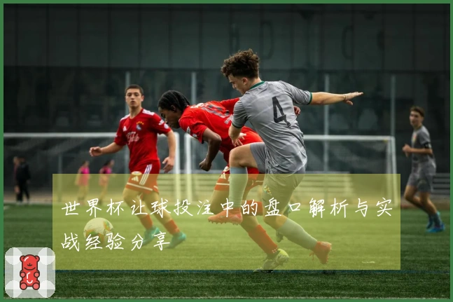 世界杯让球投注中的盘口解析与实战经验分享
